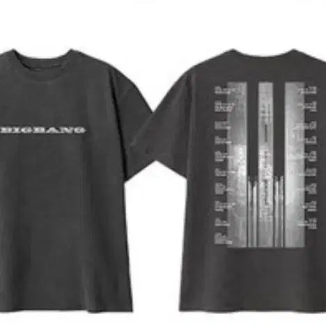 [BUNJANG] Big Bang Gray T-Shirt / 빅뱅 반팔티 회색