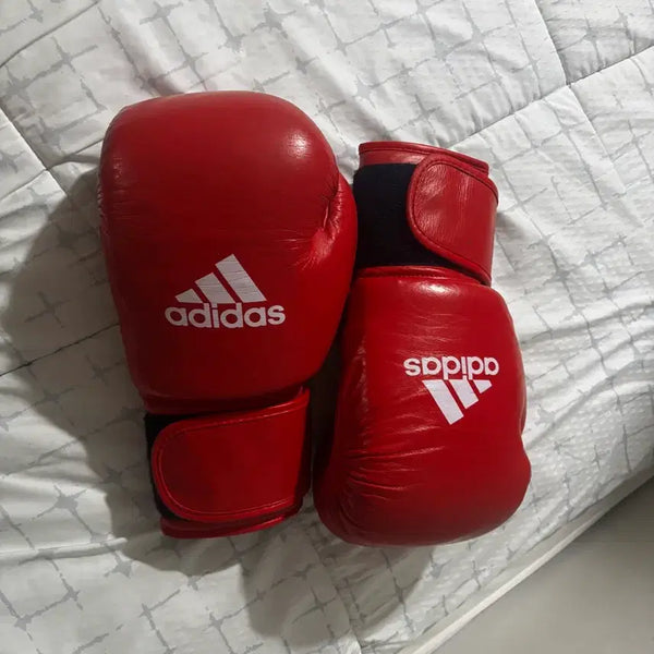 [BUNJANG] Adidas AIBA Boxing Gloves / 아디다스아이바 글러브 팔아요