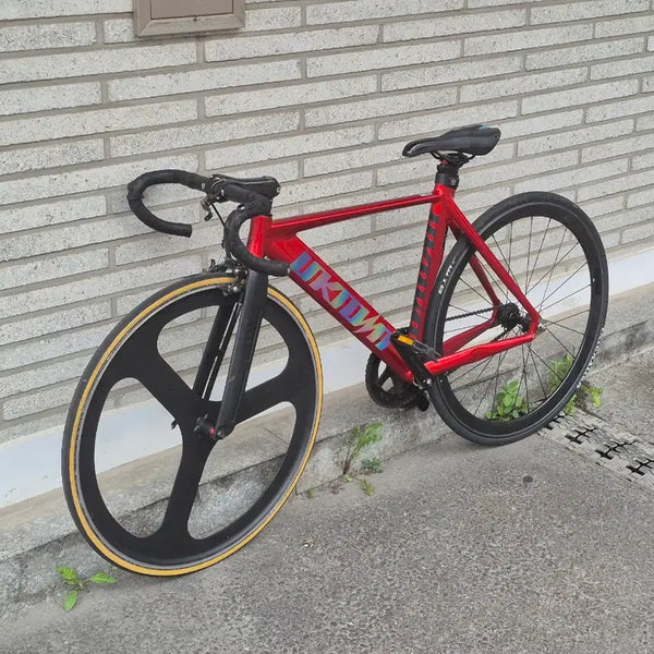 [BUNJANG] Unknown Singularity 2 'Fake' Edition Fixed Gear Bicycle (S-XS) / 언노운 싱귤2 짭포에디션 (어그로X