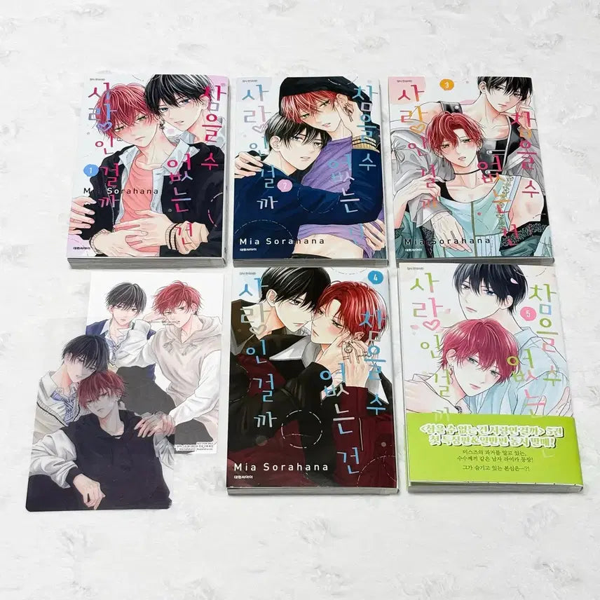 [BUNJANG] Can't Stand Love? Vol. 1-5 Manga Bundle Set / (일괄 가격) 참을 수 없는 건 사랑인 걸까 1~5권 순정만화 만화책 참없사