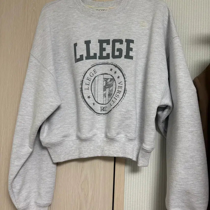 [BUNJANG] Recto Sweatshirt Grey Short Length / 렉토 맨투매