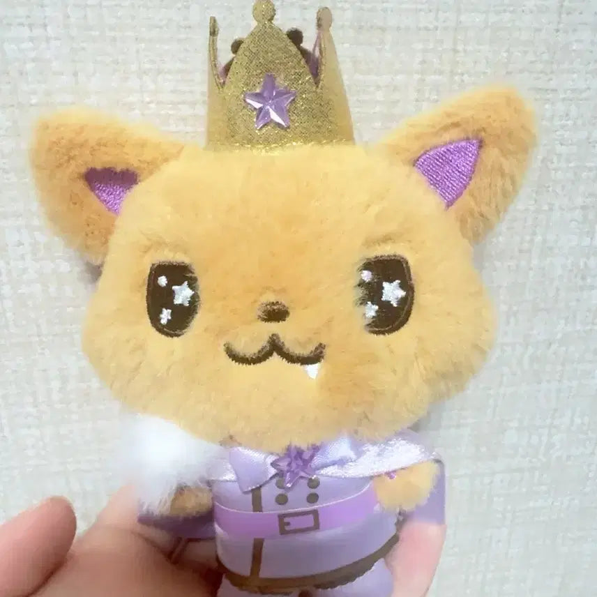 [BUNJANG] Prince Sioning Unsealed Doll / 프린스 시오닝 단순개봉