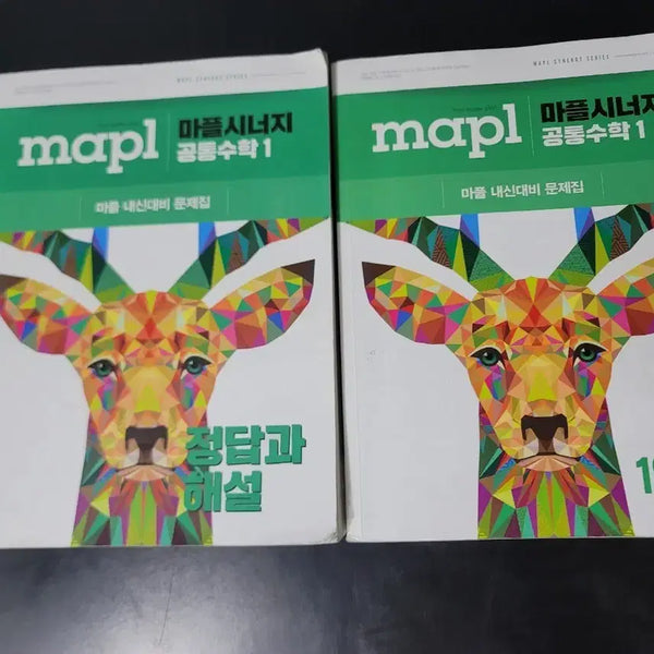 [BUNJANG] Maple Synergy Common Math 1 Workbook Set (2 Volumes) / 마플시너지 공통수학1 문제집 2권 세트