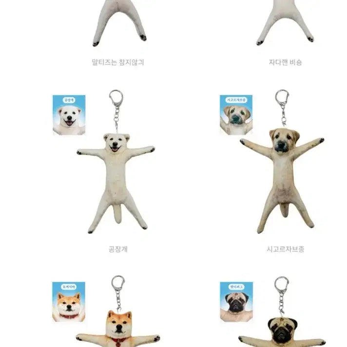 [BUNJANG] Dog Wire Doll Split Set / 댕댕이 철사 인형 분철