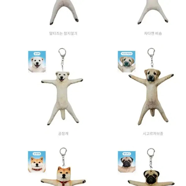 [BUNJANG] Dog Wire Doll Split Set / 댕댕이 철사 인형 분철