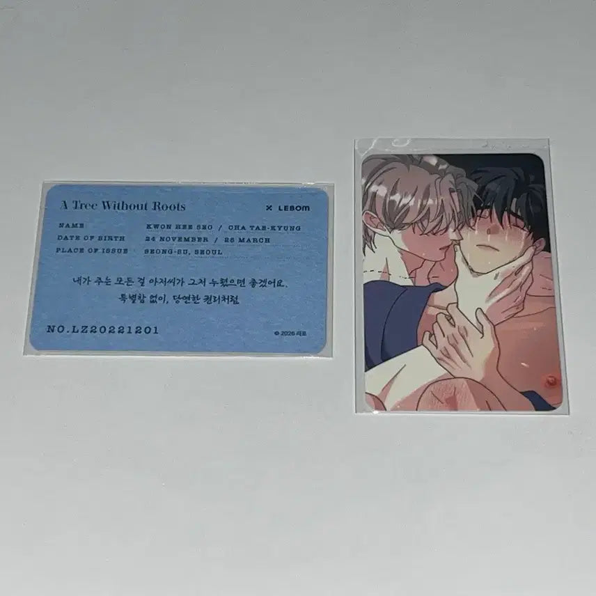 [BUNJANG] LE SSERAFIM Salond Lebon Rootless Tree Photocard Bundle Set / 레봄 살롱 드 르봉 낭만묵시록, 뿌리없는 나무 특전 포토카드 포카 일괄 양도