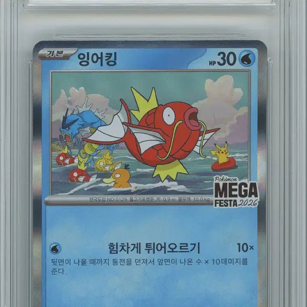 [BUNJANG] Pokemon Magikarp Promo Card BRG Graded 9 Mint / 포켓몬카드 잉어킹 프로모 BRG9