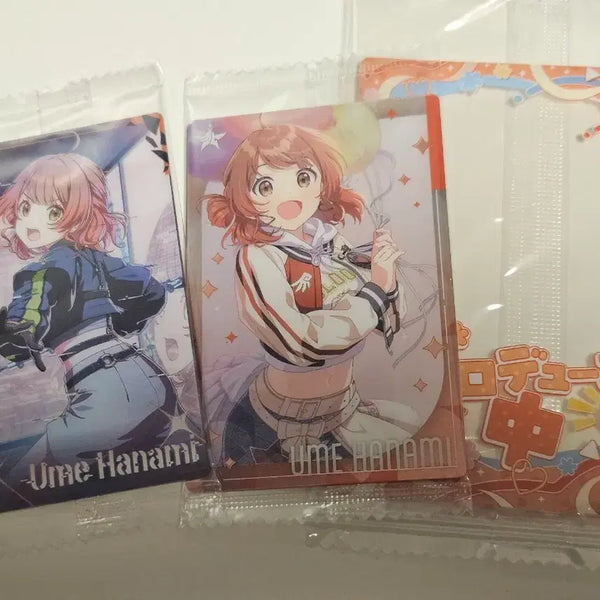 [BUNJANG] Gakuen Idolmaster Hanami Ume Wafer Card & Frame Set / 학원마스 하나미 우메 웨하스 카드, 프레임 학원 아이돌마스터