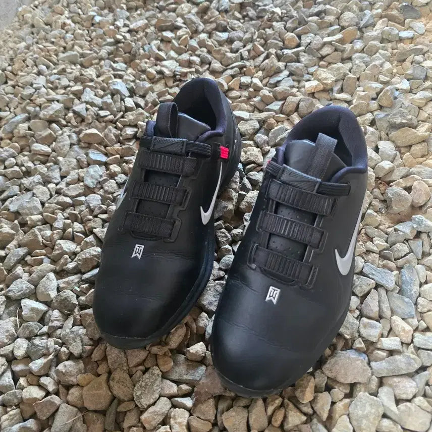 [BUNJANG] Nike Tiger Woods Golf Shoes (260mm) / 타이거우즈 나이키 골프화 (260mm)