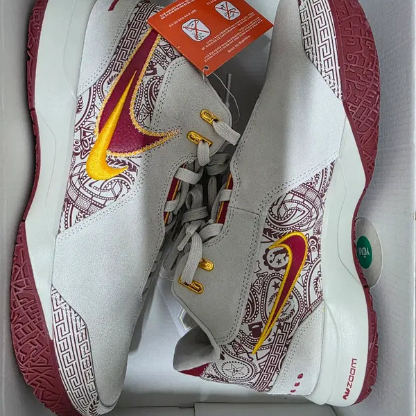 [BUNJANG] Nike Zoom LeBron NXXT Gen AMPD EP 'Light Bone Team Crimson' / 나이키 줌 르브론 NXXT 젠 285