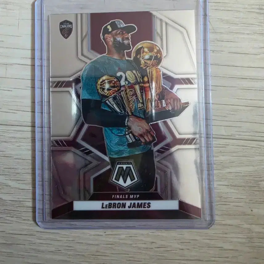 [BUNJANG] NBA LeBron James Basketball Card / nba 농구카드 르브론 트로피