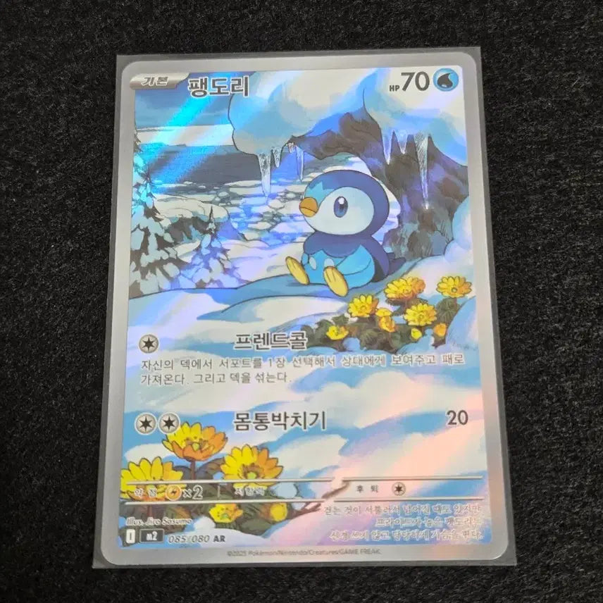 [BUNJANG] Pokemon Card Torchic AR / [S급] 팽도리 ar