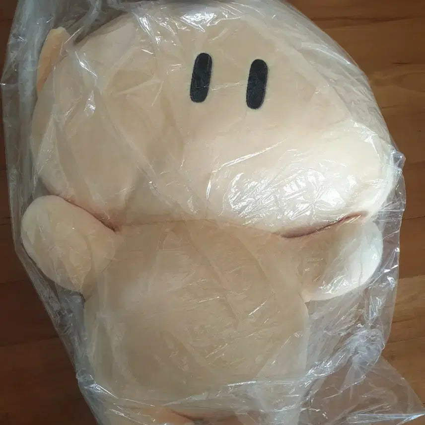 [BUNJANG] Dooly Doll / 꿈돌이 인형