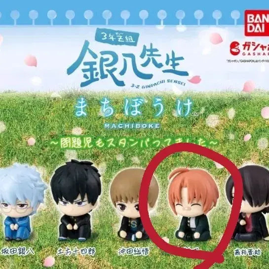 [BUNJANG] Gintama Kamui Machiboke / 은혼 마치보케 카무이