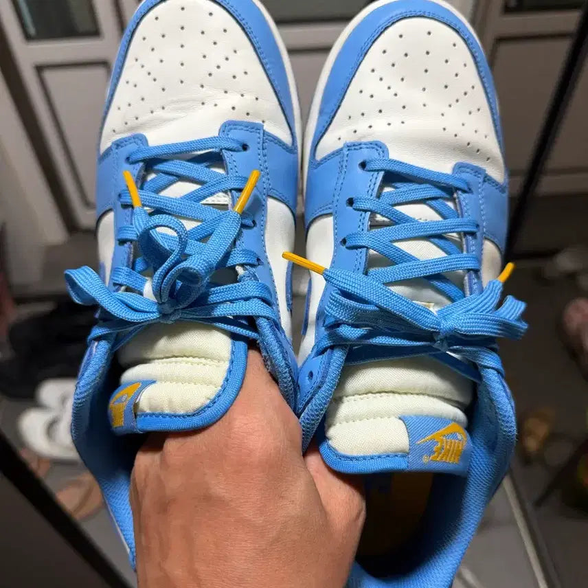 [BUNJANG] Nike Dunk Low Coast / 나이키 덩크 로우 코스트 270