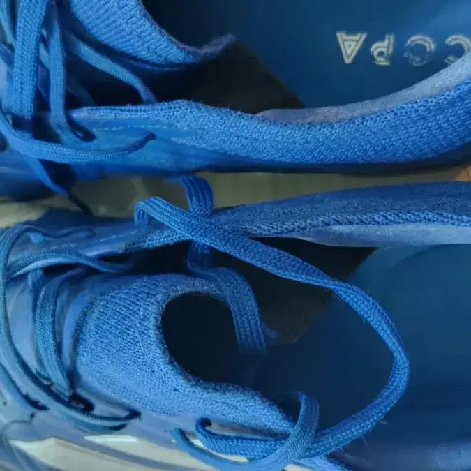 [BUNJANG] Adidas Copa 20.1 FG Soccer Cleats (270mm) / 아디다스 코파 20.1 FG (Adidas Copa 20.1)(EH0884) 270mm 사이즈 판매
