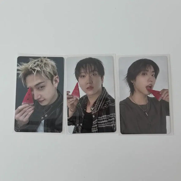 [BUNJANG] Stray Kids '3RACHA' Watermelon Photocard Set / 스트레이키즈 스키즈 디스앤댓 수박포카 쓰리라차 세트 판매