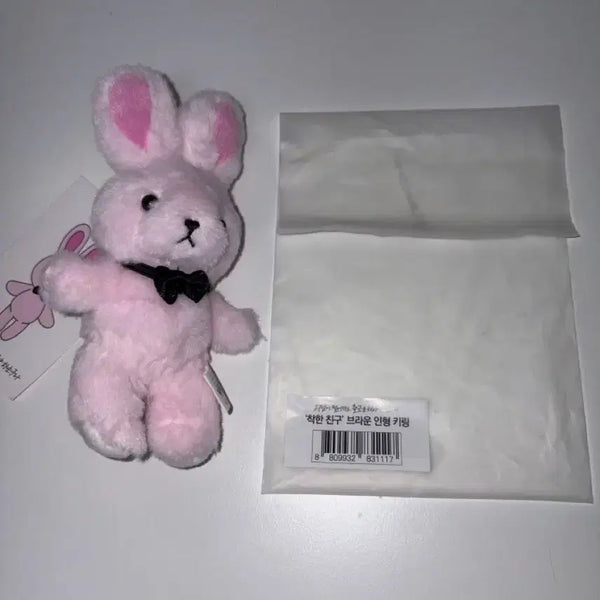 [BUNJANG] Line Friends Brown 'Good Friend' Plush Doll / 괴담출근 브라운 착한 친구 인형