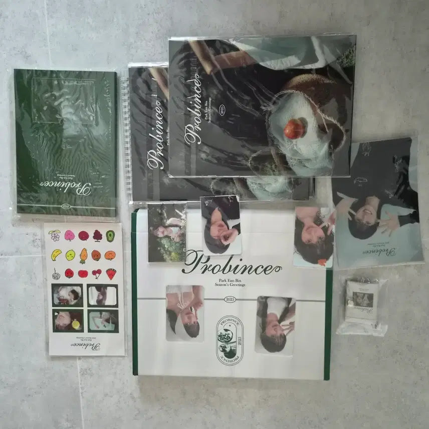 [BUNJANG] Park Eun-bin 2025 Season's Greetings Set / 박은빈 시즌 그리팅 2025 판매