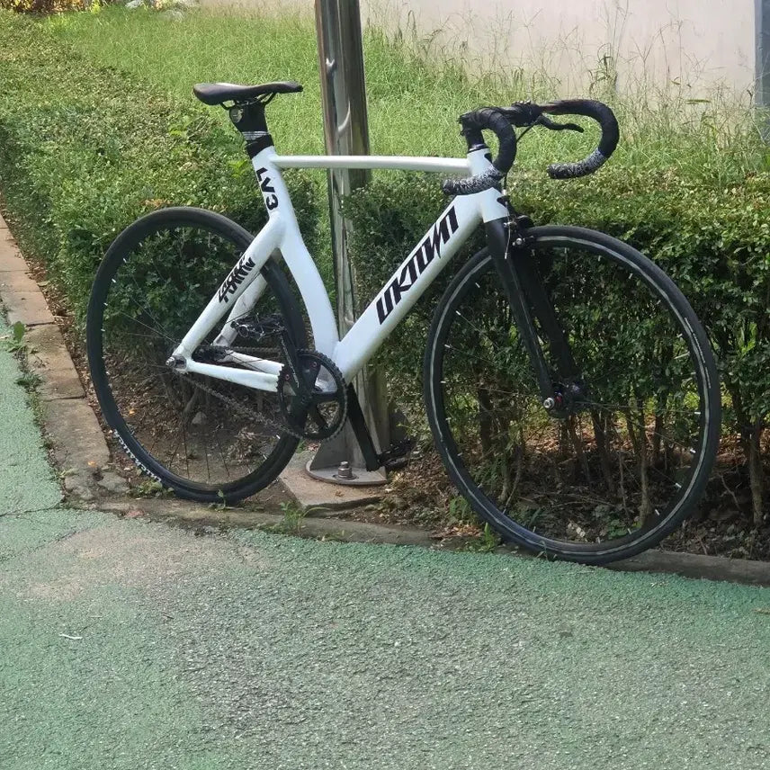 [BUNJANG] Unknown Level 3 Carbon Road Bike / 언노운 레벨3 화이트
