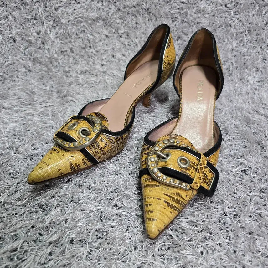 [BUNJANG] Prada Python Kitten Heel Pumps Size 36 / 프라다 파이슨 키튼 힐 펌프스 36