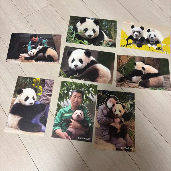[BUNJANG] Bao Family Postcard Bundle Set / 바오패밀리 엽서 (일괄판매)