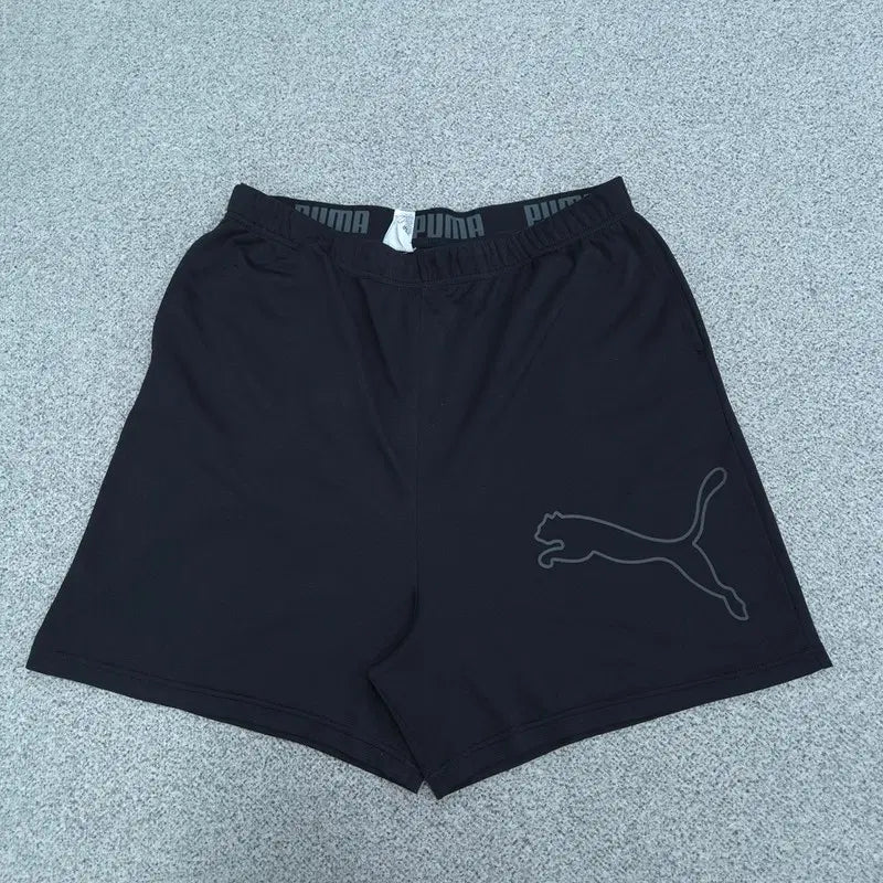 [BUNJANG] Puma XXL Shorts / XXL 퓨마 반바지 | 0824C42