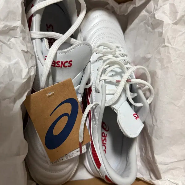 [BUNJANG] ASICS C3 Sneakers (250) / 아식스 c3 250