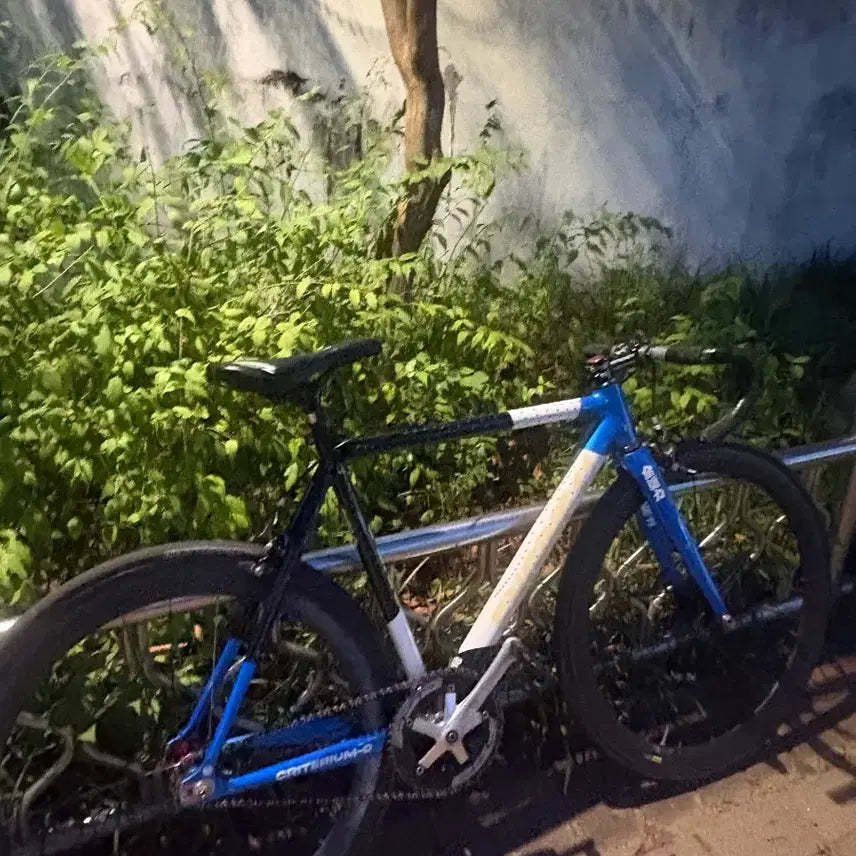 [BUNJANG] Engine 11 Crit-D Blueskin (S~M) Bicycle / 엔진11 크릿디 블루스킨