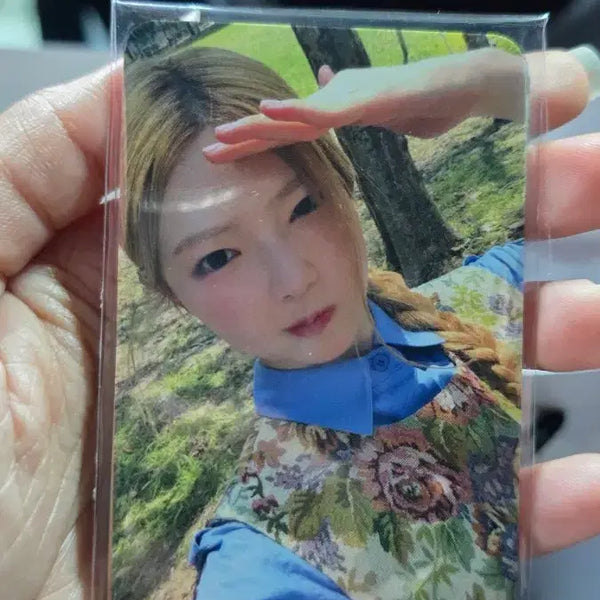 [BUNJANG] Tuide Showcase Entry Photocard Set (Sealed) / 튜이드 tuide  쇼케이스 입장 포카 미개봉 세트 양도