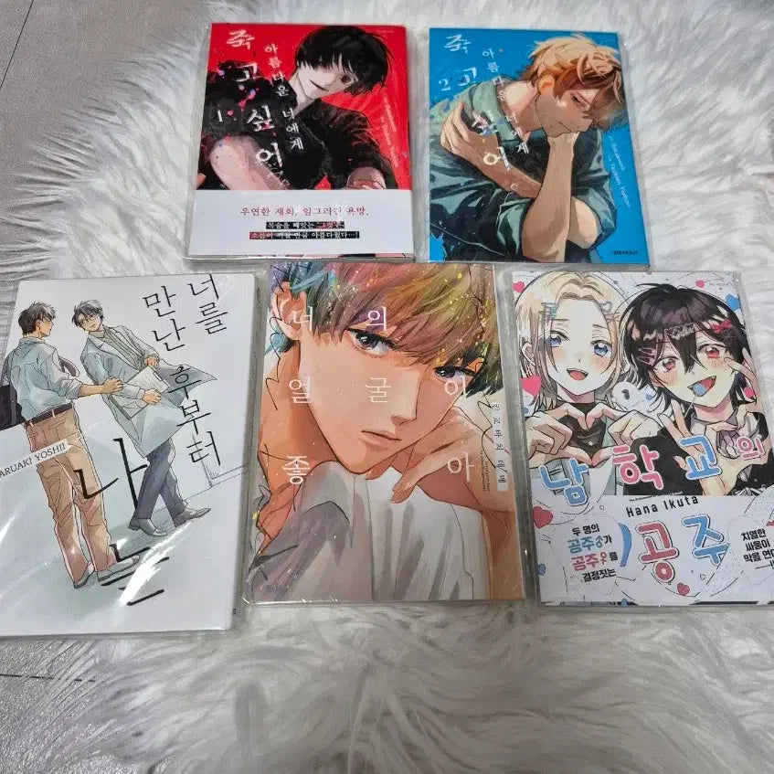 [BUNJANG] BL Manga Bundle / BL 비엘 만화책 일괄 양도