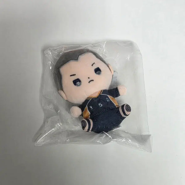 [BUNJANG] Haikyuu!! Mochibi Tanaka Ryunosuke Plush Doll / 하이큐 모치비 타나키 류노스케 누이 인형
