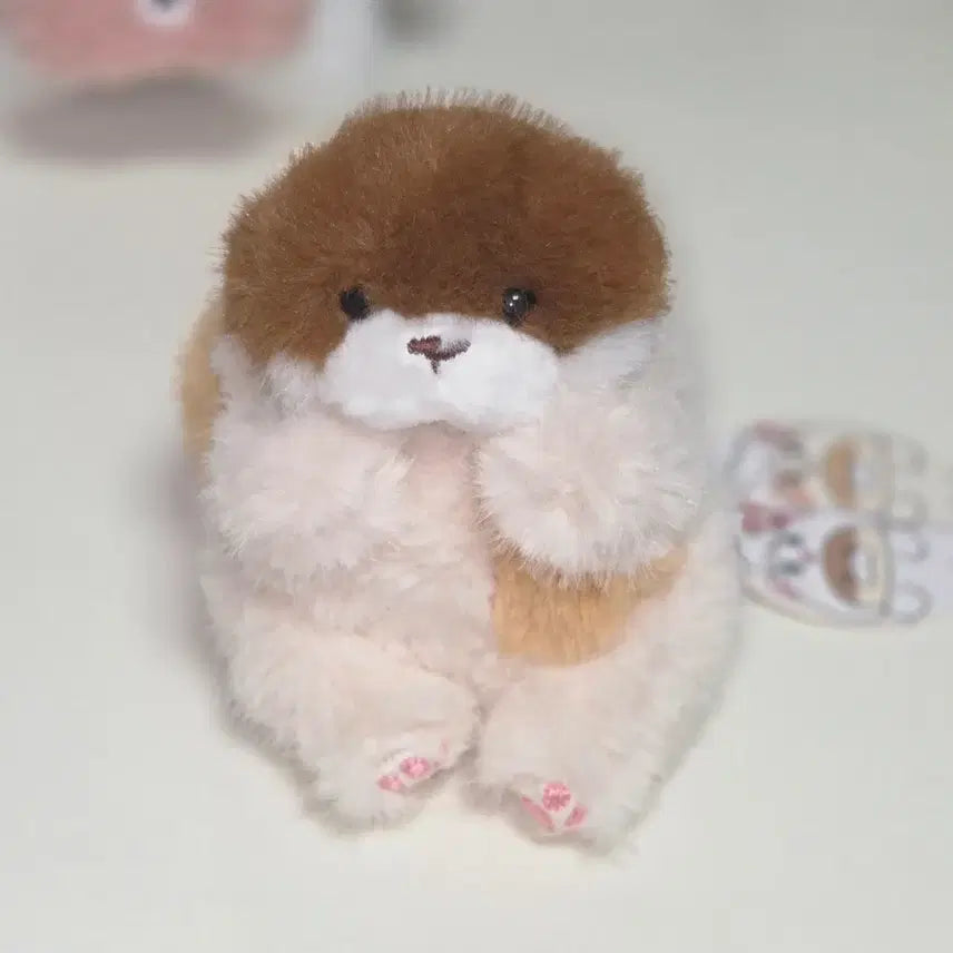 [BUNJANG] Uso Uso Chan Otter Keychain / 우소우소짱 코네코짱인줄 우소우소짱 키링 수달키링 인형뽑기