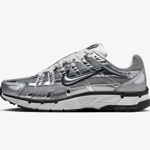 [BUNJANG] Nike P-6000 Metallic Silver (245mm) / 나이키 P-6000 메탈릭 실버 245