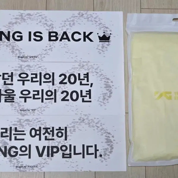 [BUNJANG] BIGBANG Concert Slogan + Raincoat Bundle Set / 빅뱅콘서트 첫중막콘 슬로건+우비 세트 양도합니다