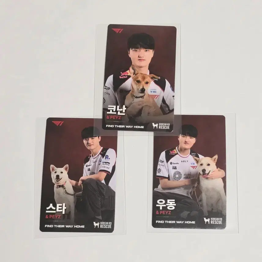 [BUNJANG] T1 Feyz Photocard Bundle Set / T1 티원 홈그라운드 홈그 kk9r 강아지 페이즈 peyz 포카 판매