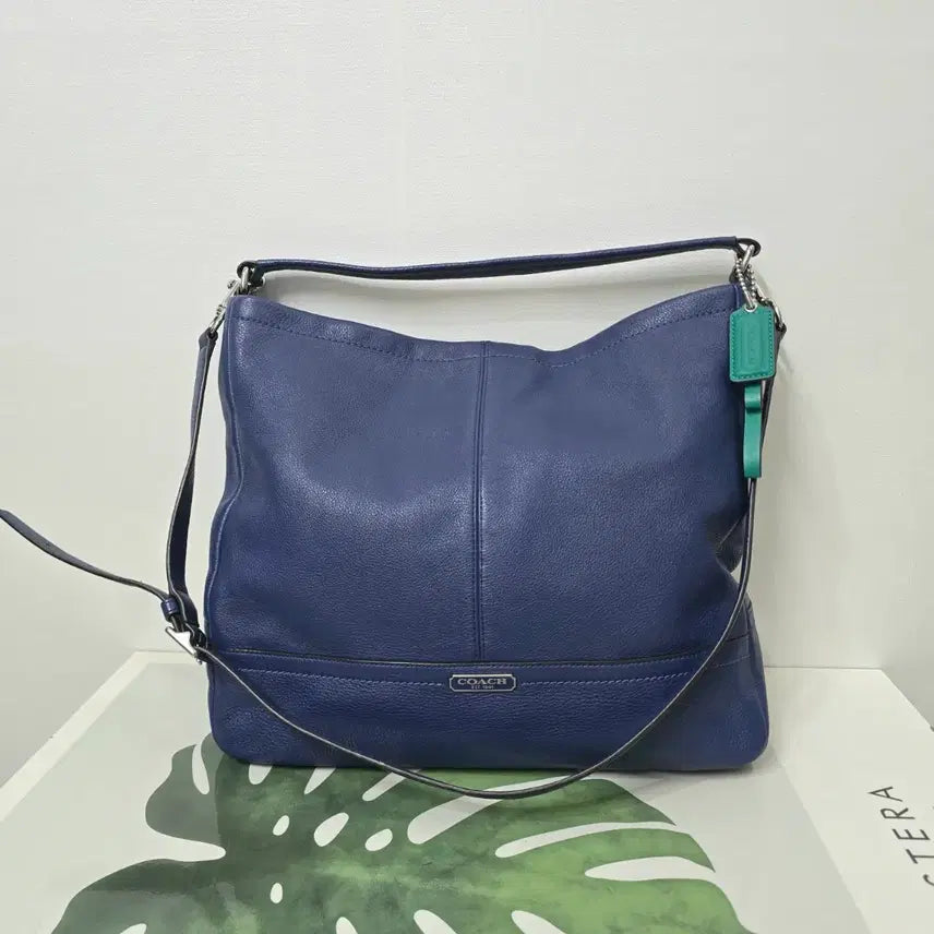 [BUNJANG] Coach Park Leather Hobo Bag / 코치 파크 레더 호보백