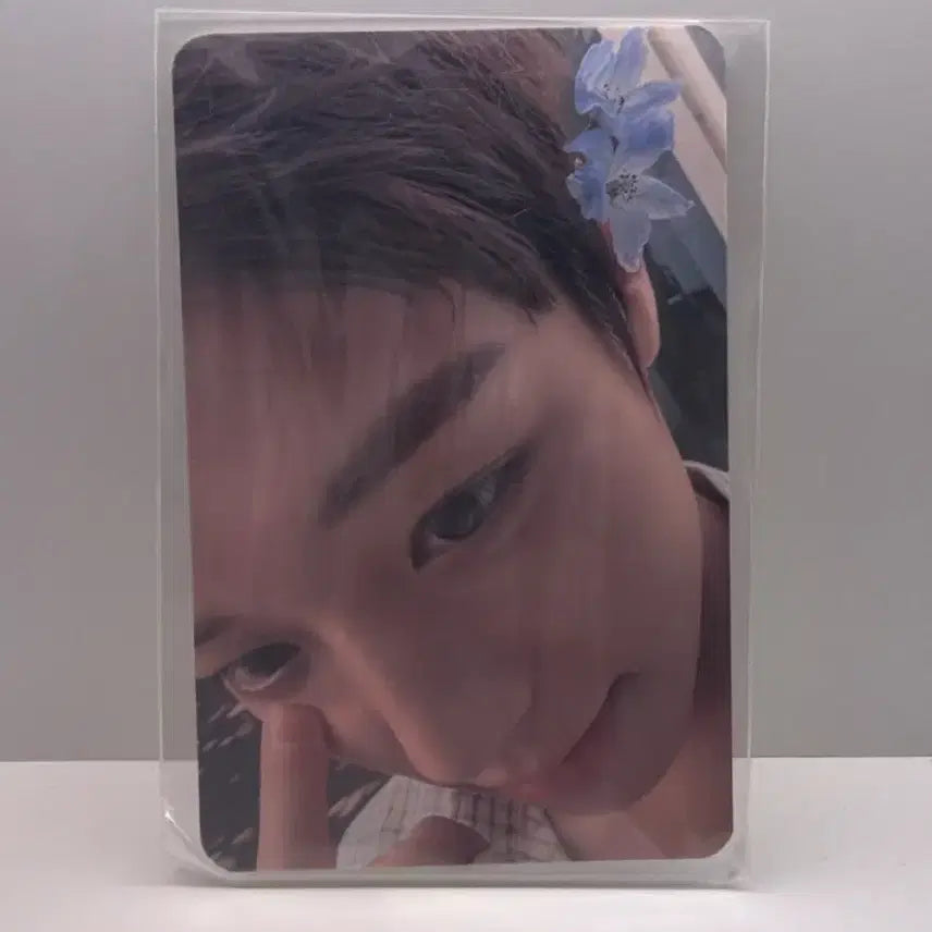 [BUNJANG] FORMENT Park Ji Hoon 'Eolppak' Photocard / 포맨트 박지훈 얼빡포카