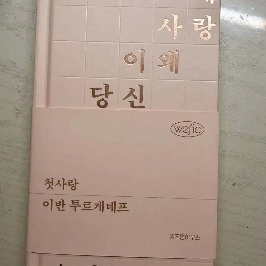 [BUNJANG] Wisdom House Wipic Classics First Love First Edition / 위즈덤하우스 위픽 클래식 첫사랑 초판 양도