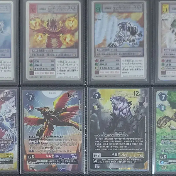 [BUNJANG] Digimon Cards Old Digimon Cards Four Holy Beasts Set / 디지몬카드 구디지몬카드 사성수 세트