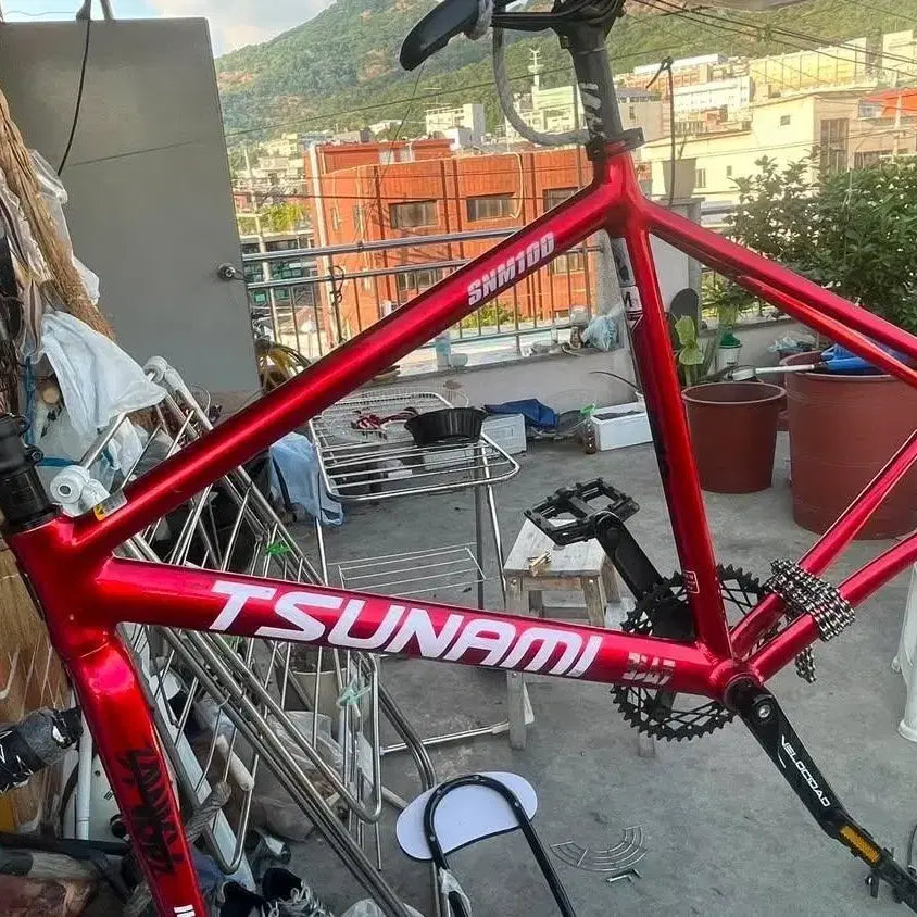 [BUNJANG] Tsunami Red Wine Track Bike / 쓰나미 레드와인 반차 판/대