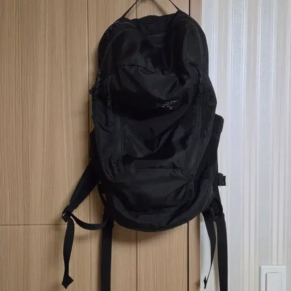 [BUNJANG] Arc'teryx Mantis (Older Model) Backpack / [26] 아크테릭스 맨티스 구형