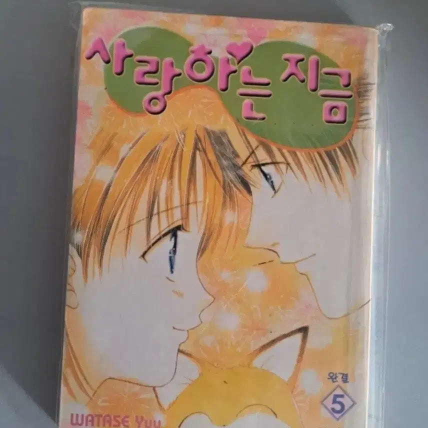 [BUNJANG] Love Is True Complete Manga Series Vol. 1-5 / 만화책 사랑하는 지금 1-5권 완결