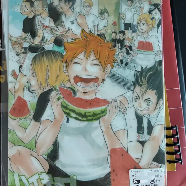 [BUNJANG] Haikyuu!! Karasuno Clear File Folder A4 Size / 하이큐 카라스마 책받침 클리어보드 a4 사이즈