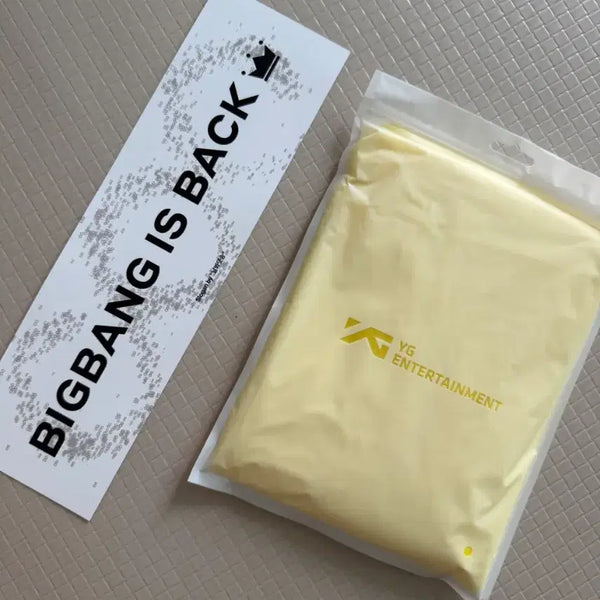 [BUNJANG] BIGBANG BIGBANG IS BACK Official Goods / 빅뱅 BIGBANG IS BACK 굿즈 YG엔터테인먼트