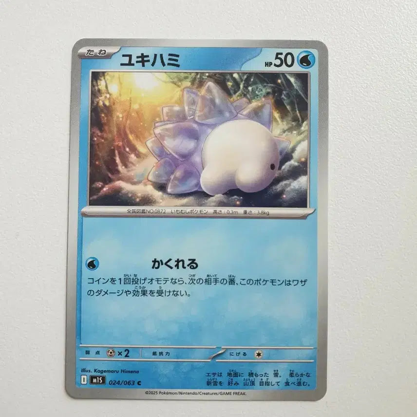 [BUNJANG] Nunimugi Pokemon Card Japanese Edition / 일판/누니머기 포켓몬카드
