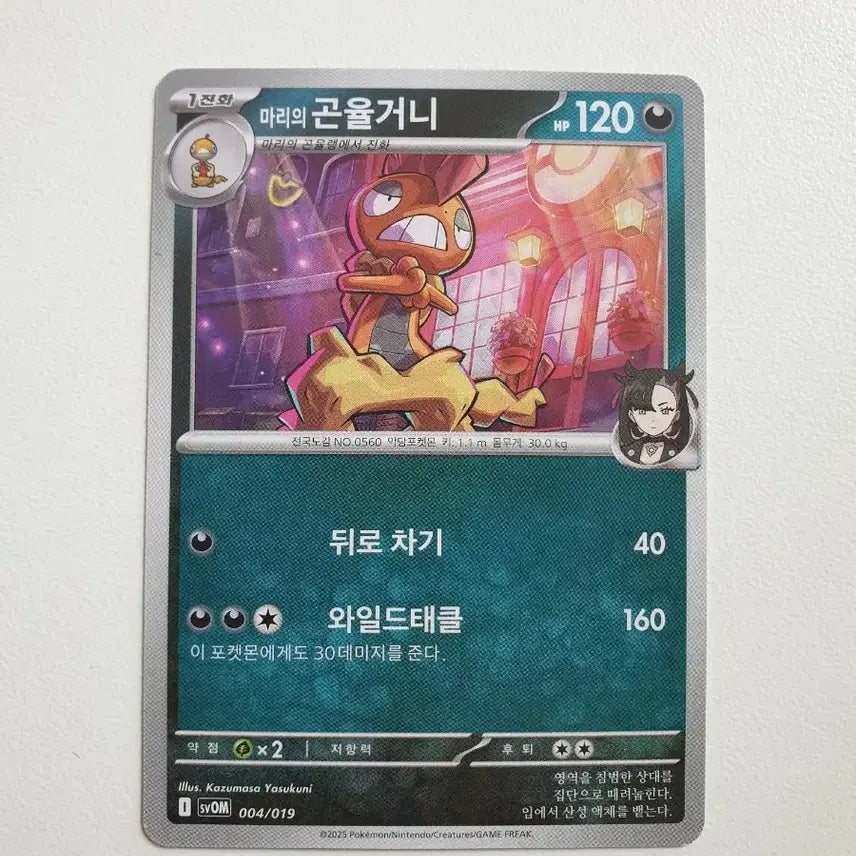 [BUNJANG] Marie's Gonyulgeoni Pokémon Card / 마리의 곤율거니 포켓몬카드