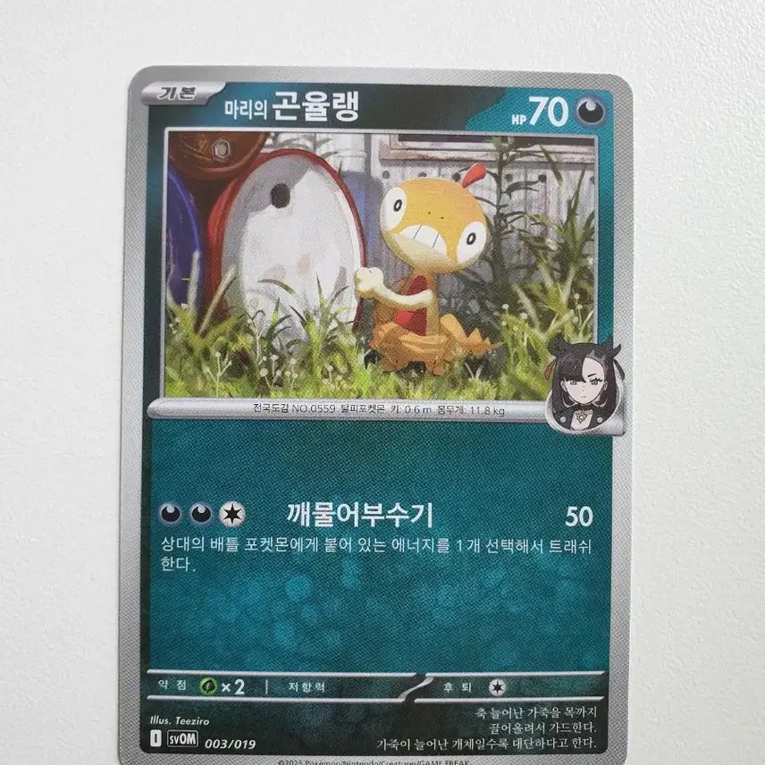 [BUNJANG] Marie's Gounyulang Pokemon Card / 마리의 곤율랭 포켓몬카드