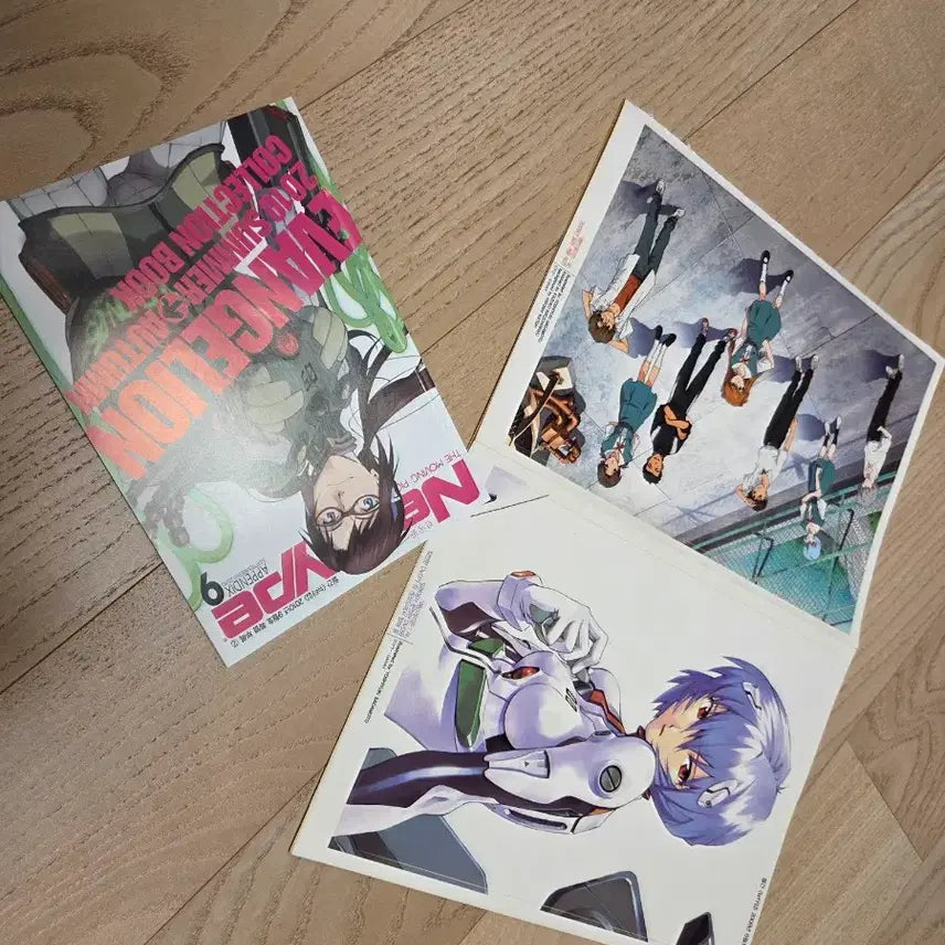 [BUNJANG] Evangelion Newtype Supplement Booklet & Stickers / 에반게리온 뉴타입 부록
