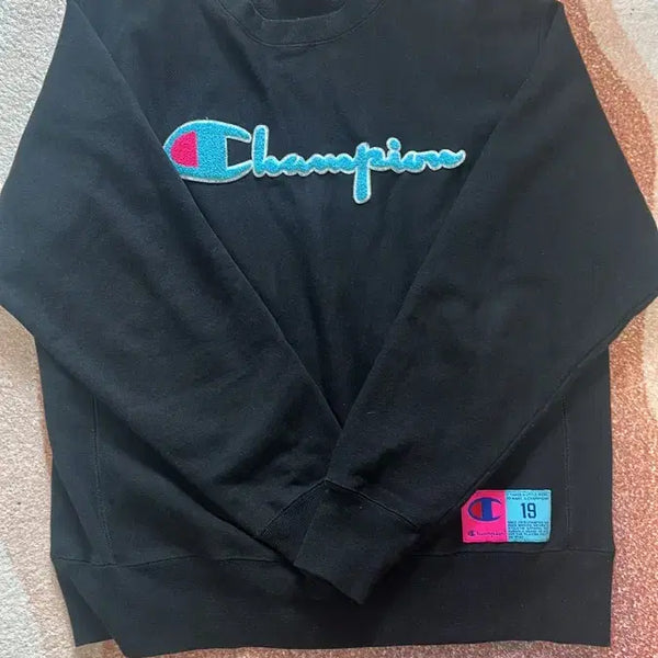 [BUNJANG] Champion Reverse Weave Sweatshirt / 챔피온 리버스위브 맨투맨